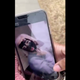 Illustration for article titled Brave White Girl Doesn’t Limit Herself to Being Racist Just One Way, Kicked Out of Sorority for Blackface iand/i Saying the N-Word